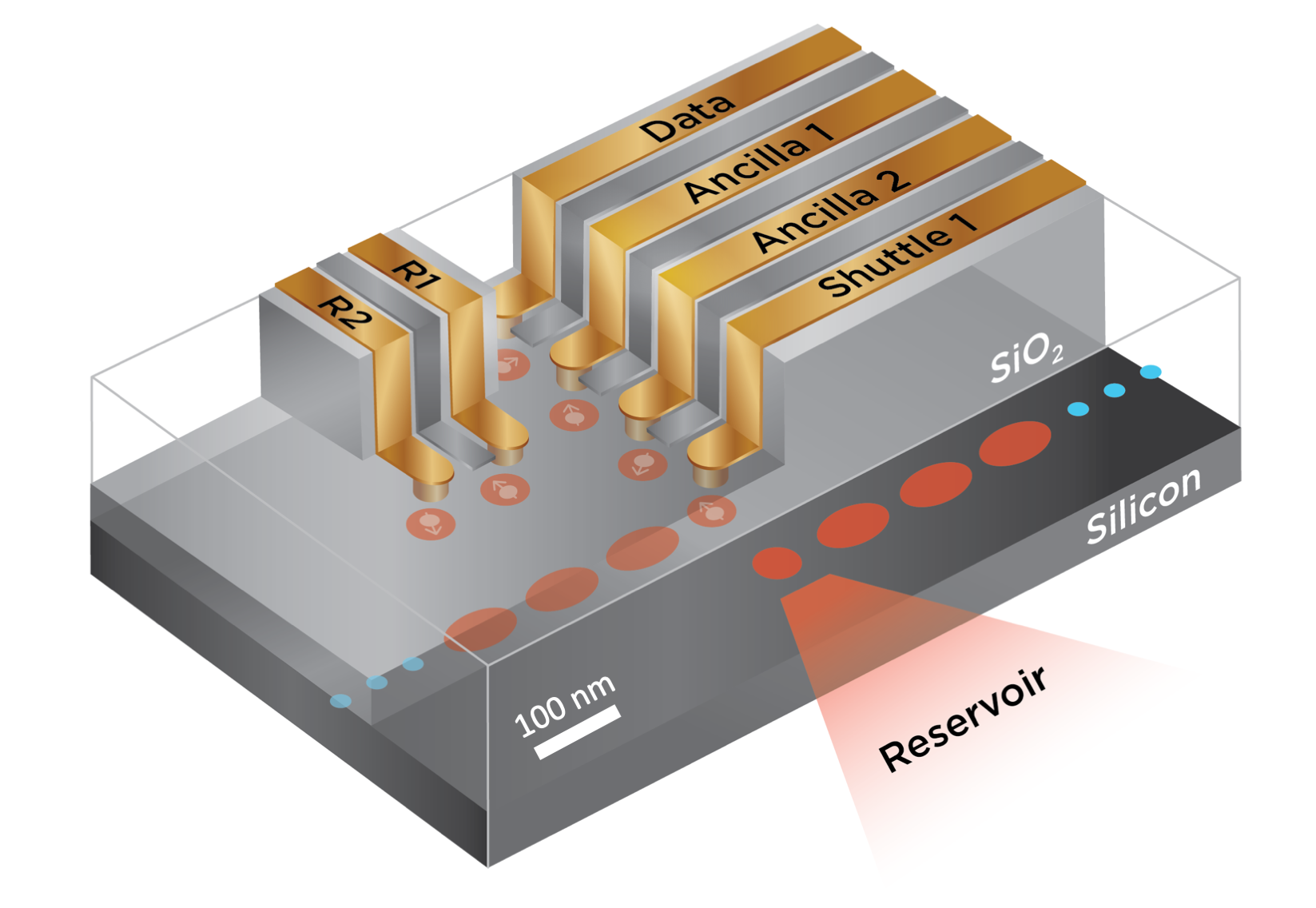 fig3_scalebar: New paper on silicon quantum computing architecture is published