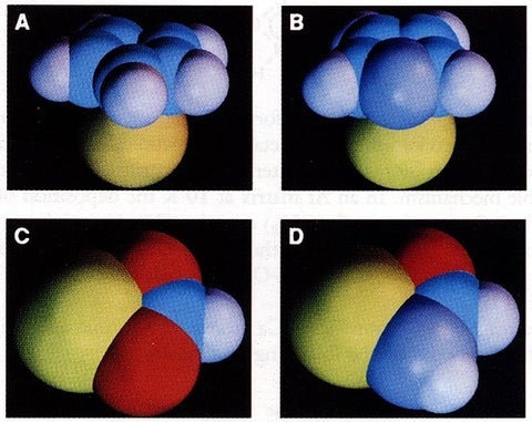 Space-filling models of four molecules labeled A, B, C, D. Caption below.