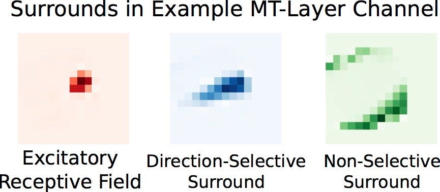 surrounds in MT layer of convolutional model