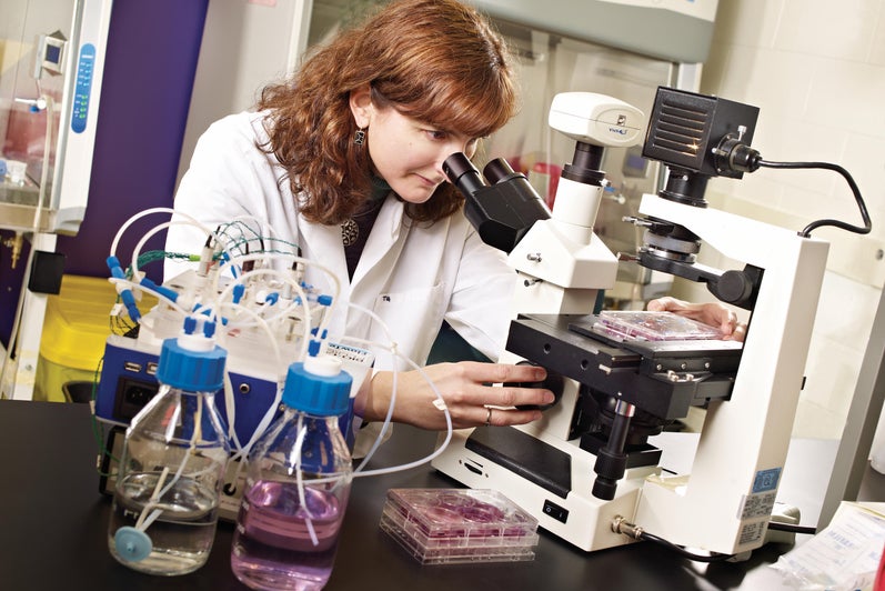 CBB Member Maud Gorbet, Systems Design Engineering