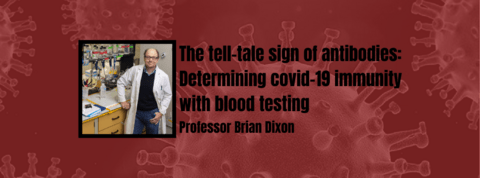 Brian Dixon: The tell-tale sign of antibodies: Determining covid-19 immunity with blood testing