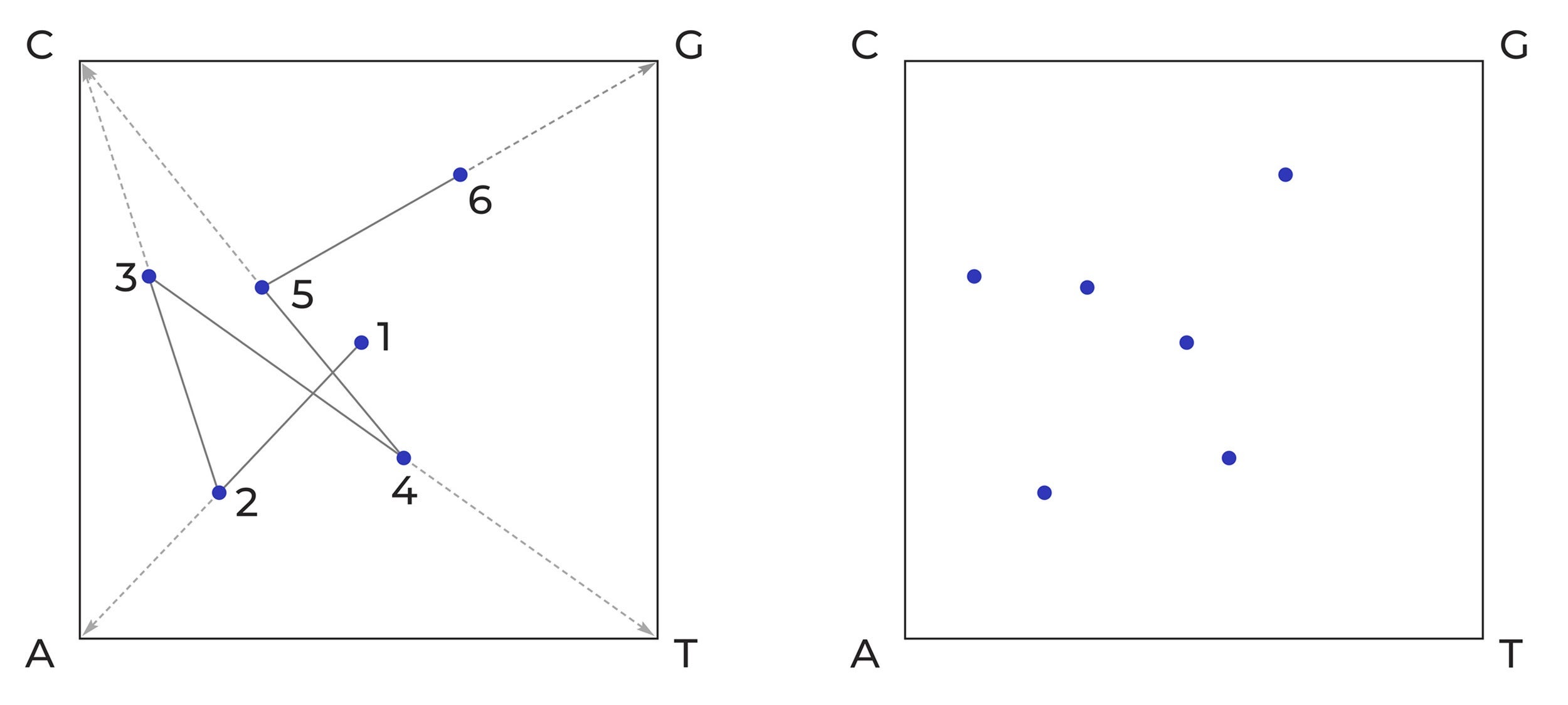 Chaos Game Representation of the nucleotide sequence A-C-T-C-G