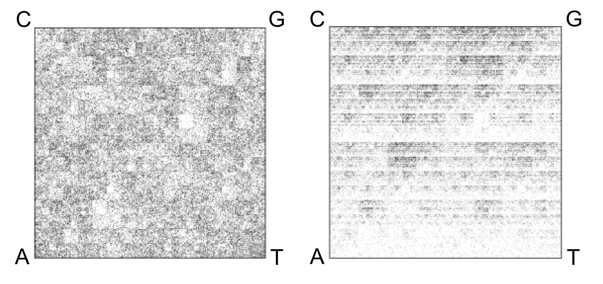 FCGR of a fragment of the genome of Escherichia fergusonii (left) and of the genome of Halomicrobium mukohataei (right)