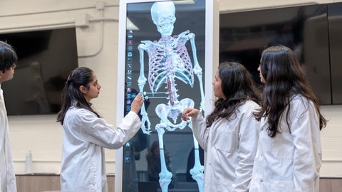 Students examine a digital human cadaver on the new virtual anatomy table in Biology.