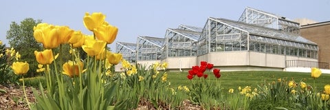 outside of the biology greenhouse with yellow and red flowers in front 