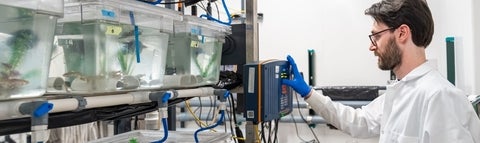 Nicholas Bendo in the lab.