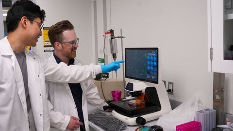 Dale Martin in the lab discussing results with a student.