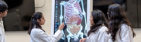Undergraduate students learning in the anatomy lab class.