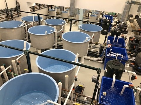 Inside the WATERlab being built - a series of large tanks half filled with water
