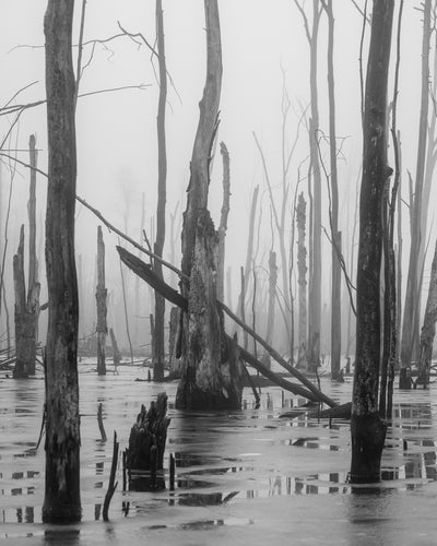black-and-white landscape portraying a stormwater pond