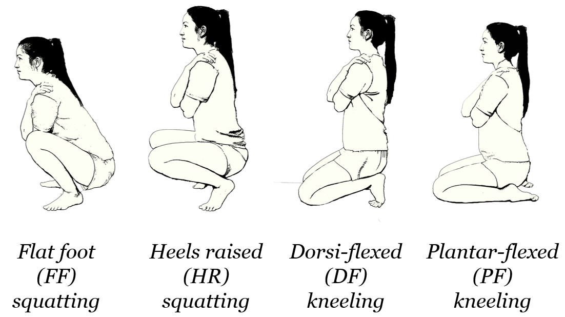 Sketch of participant squatting and kneeling