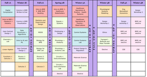 Overview of BME courses and term sequence 