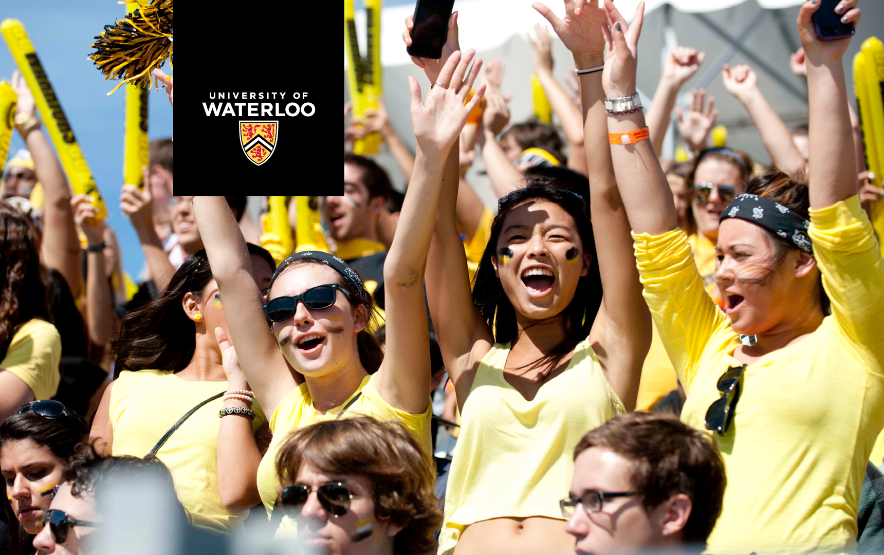 Waterloo fans (university logo)