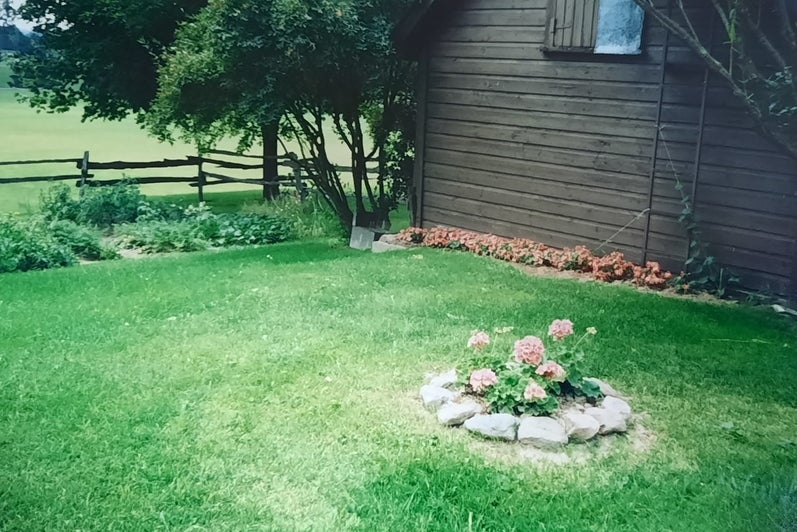 The view of a well kept lawn, with a small stone flower bed in a circle, and the side of a wooden shed and fence