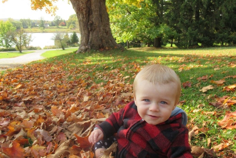 A small child in a plaid jacket sits in a pile of orange leaves outside