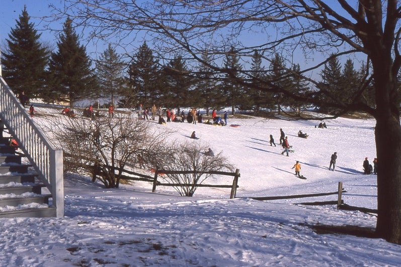 a view of tobogganers in winter