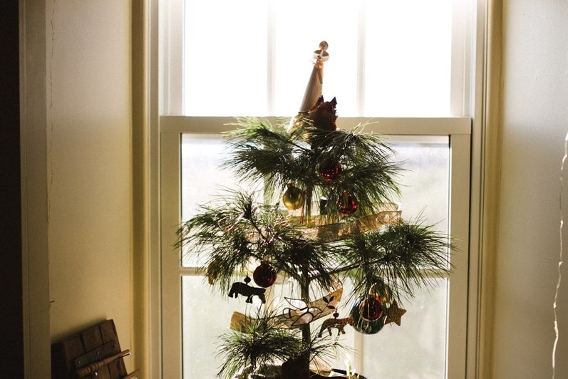 a small christmas tree in a window.