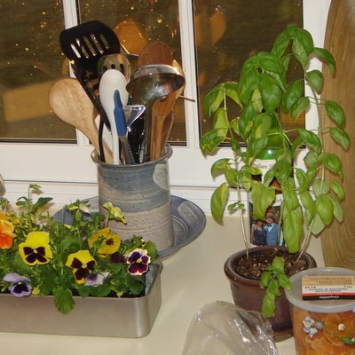 FLowers and kitchen herbs grow on the window sill indoors. A container of various kitchen spoons etc. sit there too.