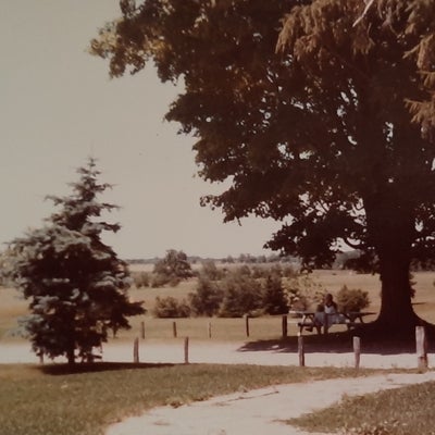 vintage photo of the golf course outside brubacher house 1982