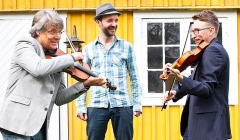 Trio of folk musicians playing stringed instruments