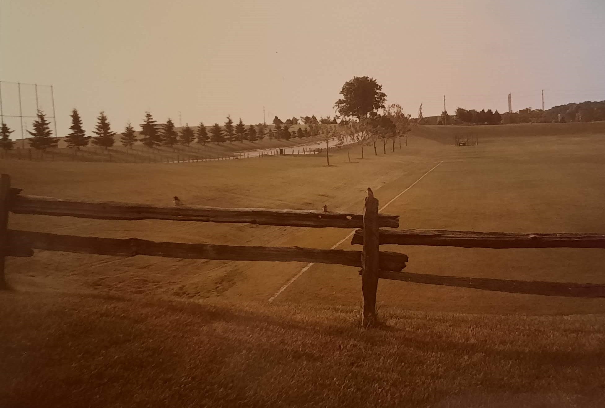 vintage photo of the sports field 1982