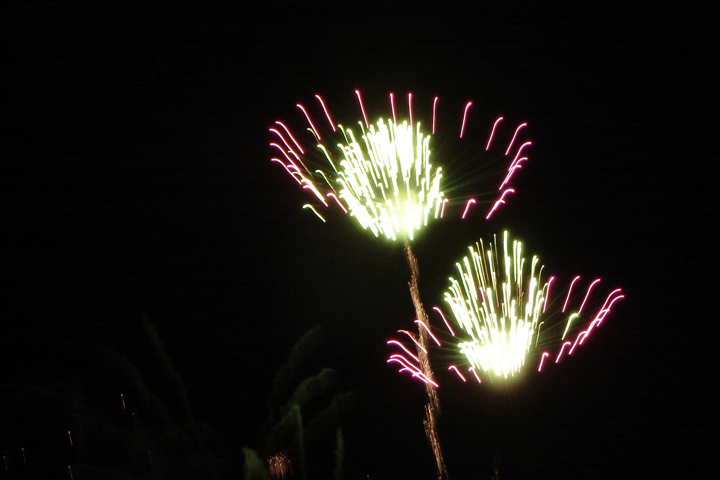 Two fireworks exploding in the sky. They look like flowers