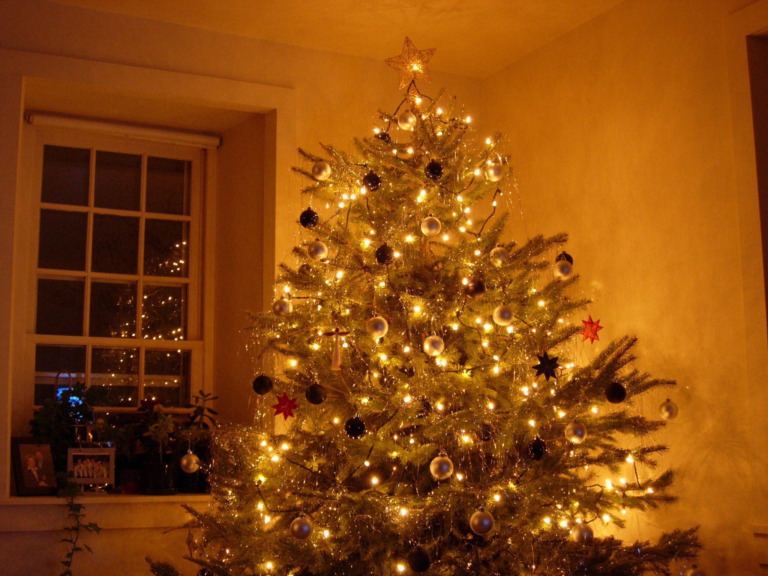A decorated christmas tree with warm lights in the corner of Brubacher House