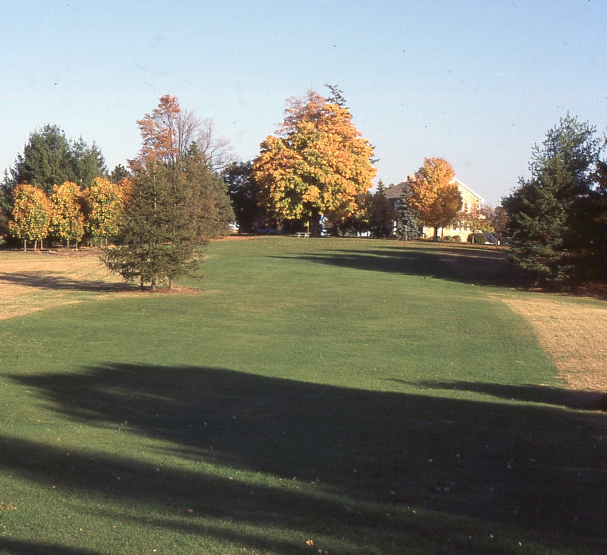A view of the gold fairway 