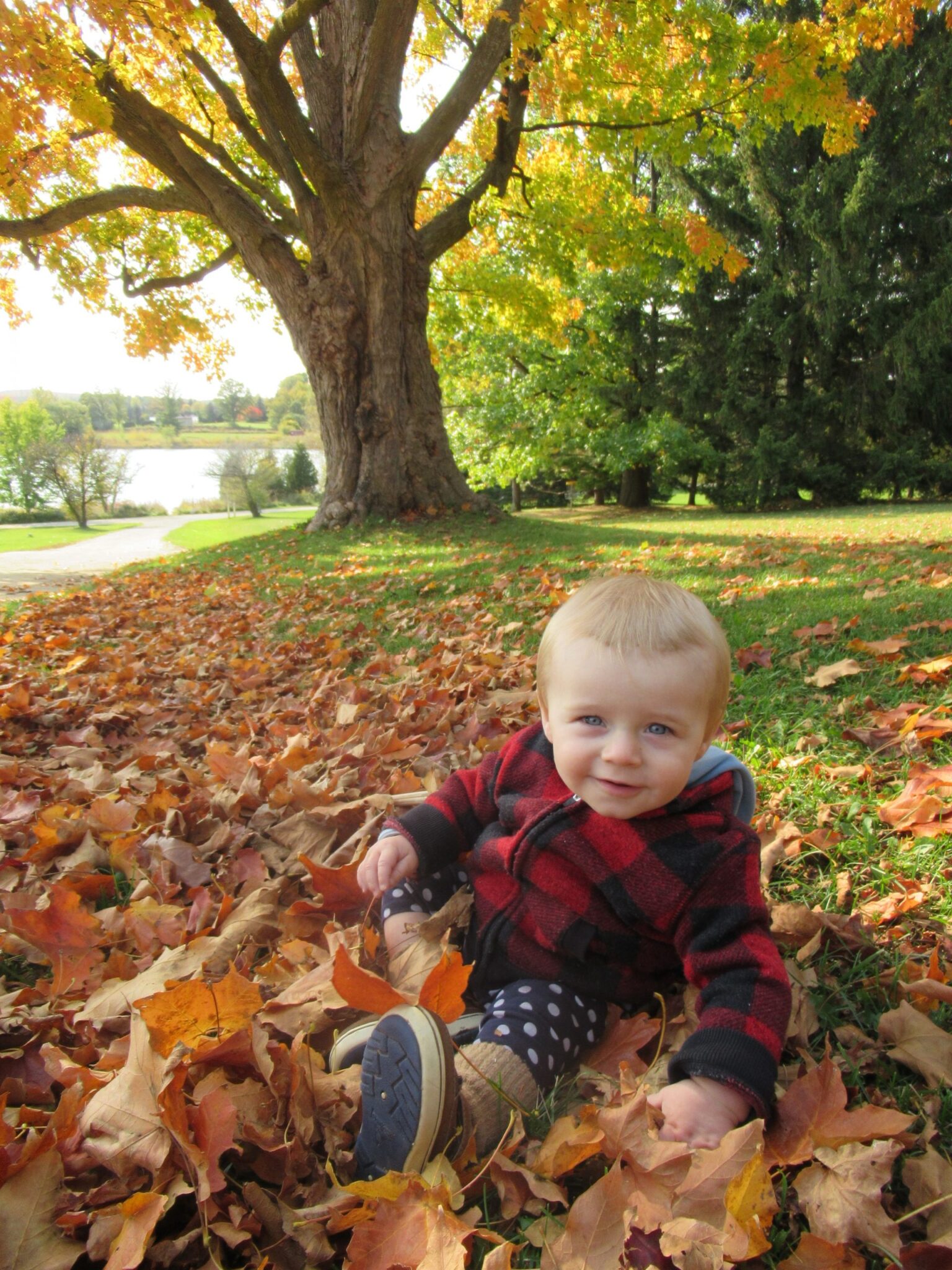 A small child in a plaid jacket sits in a pile of orange leaves outside