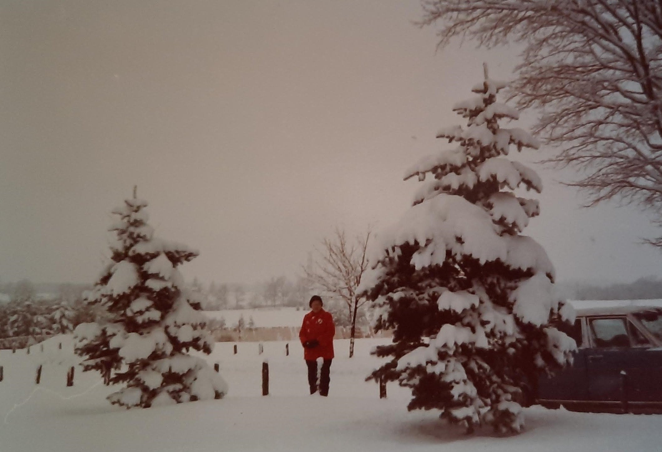 Dorothy stands in a winter landscape outside Brubacher House