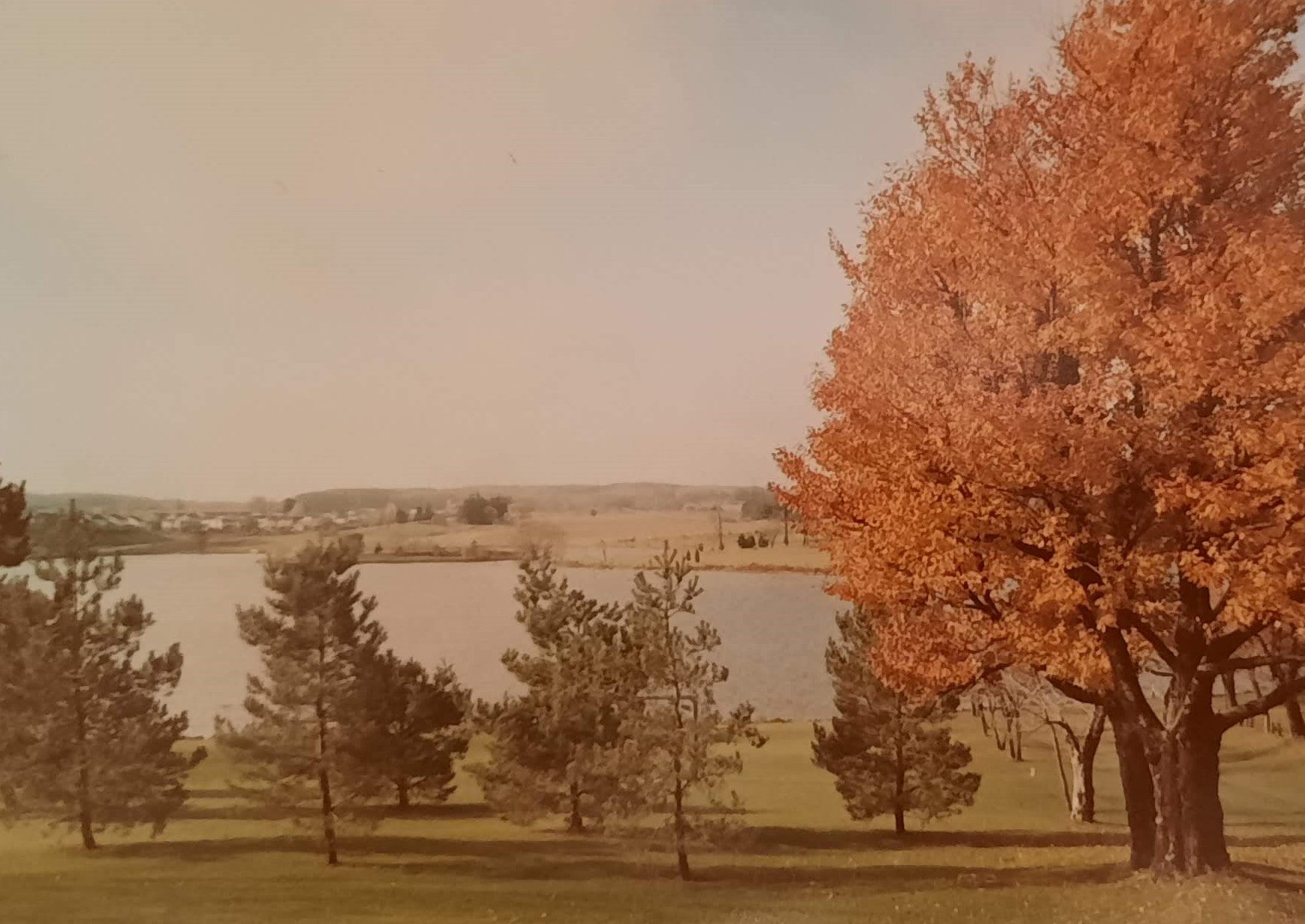 A vintage photo of a view colombia lake with trees in fall colours