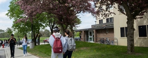 Students walking in UWP in the spring.