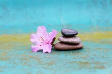 an azalea flower and some stacked stones