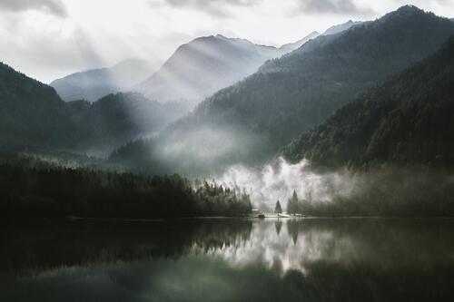 Rays of light breaking through fog over tree-covered mountains