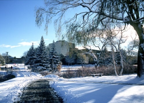 Winter scene on UWaterloo campus