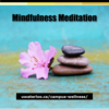 Mindfulness Meditation - uwaterloo.ca/campus-wellness/events