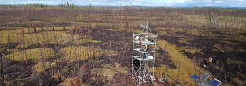 Eddy covariance tower at a burned peatland