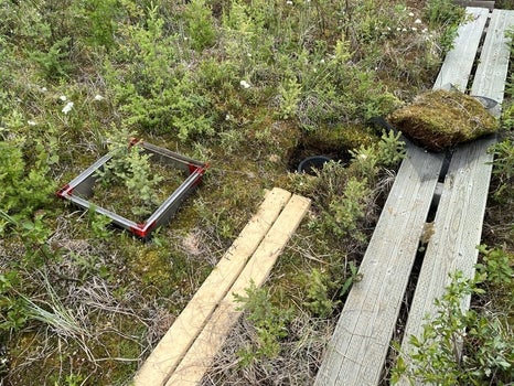 Boardwalks in a peatland