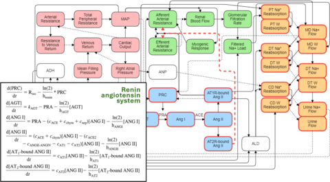 Flow chart representation of two models published by Leete and Layton, Comput Biol Med 2019.