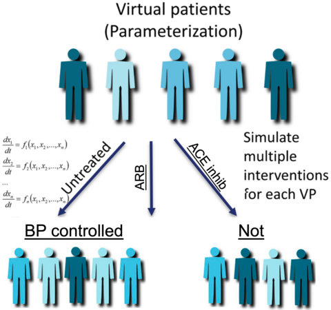 Diagram illustrating a virtual patient (VP) model for simulating interventions and their effect on blood pressure.