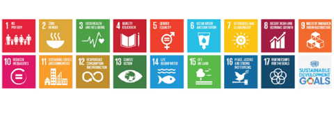 17 sustainable development goals