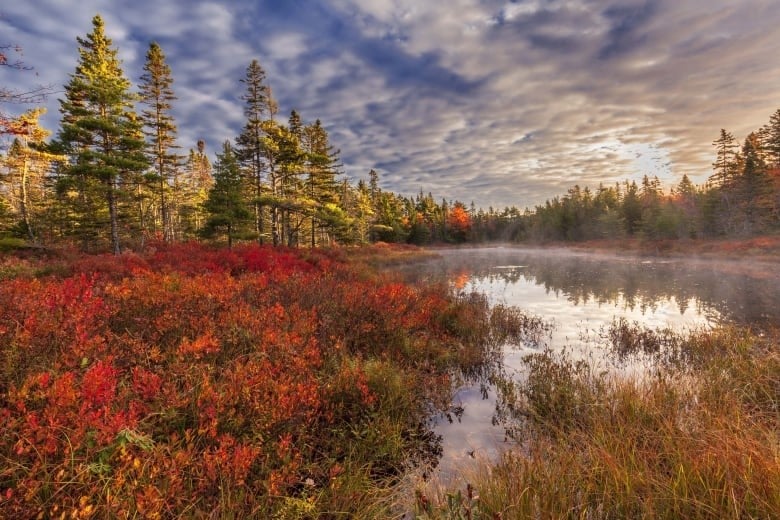 Fraser Pond is in part of the Blue Mountain Wilderness Connector in Nova Scotia.