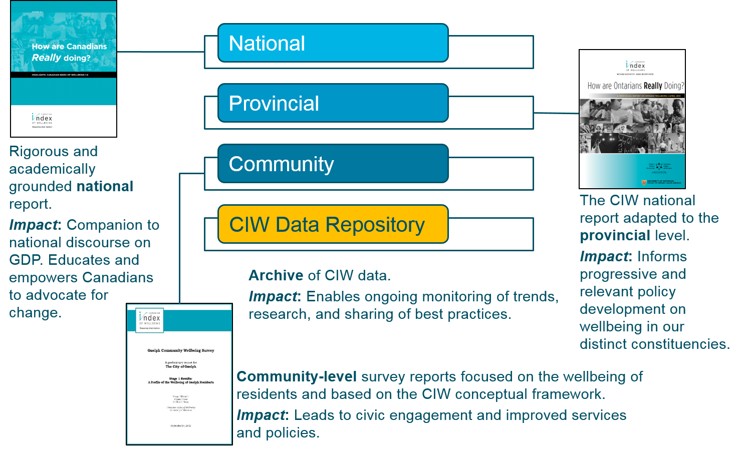 Flow chart displaying how CIW reports are connected through their impact on Canadians