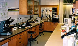 A lab; microscopes, chairs, lab benches among other things
