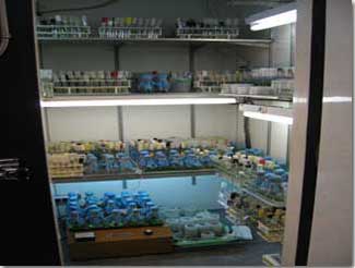 Storage of many samples