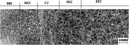 The microstructure of the AZ31 alloy