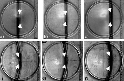 The stretch formed DP980 LWBs with different weld line positions and geometries. (Failure location is always at the soft zone i.e. sub-critical HAZ)