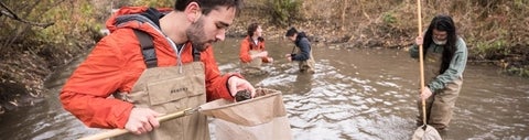 Students in water doing field work.