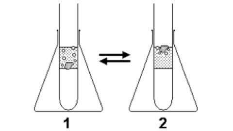 Diagram showing two Erlenmeyer flasks with test tubes and equilibrium arrows.