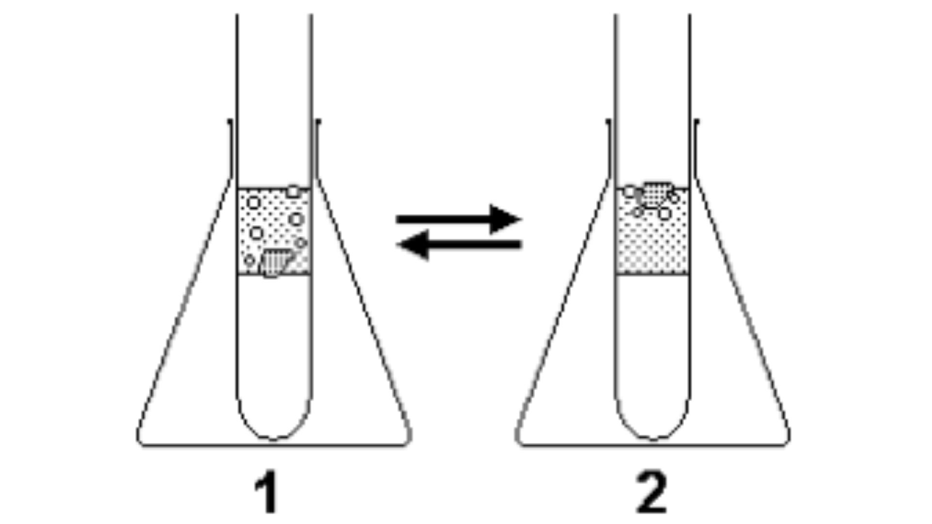 Diagram showing two Erlenmeyer flasks with test tubes and equilibrium arrows.
